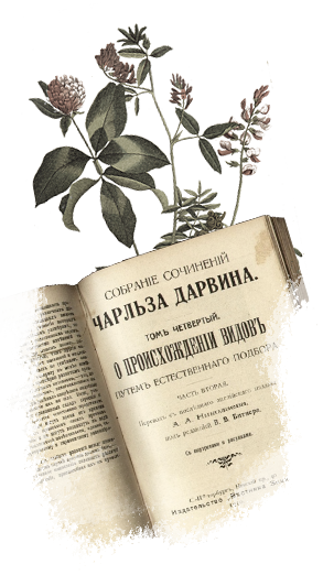 Сочинения